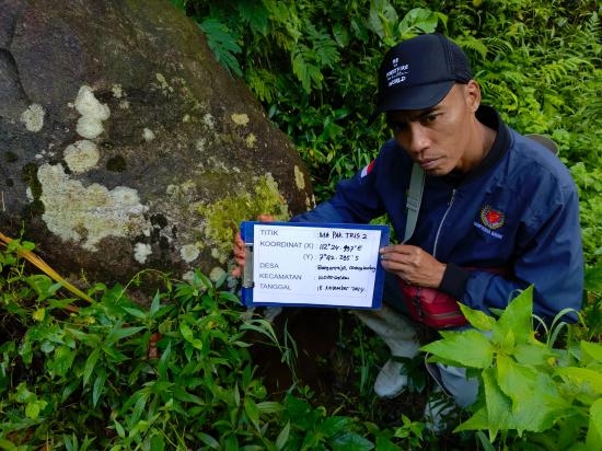 66WhatsApp Image 2024-11-25 at 06.32.59.jpeg